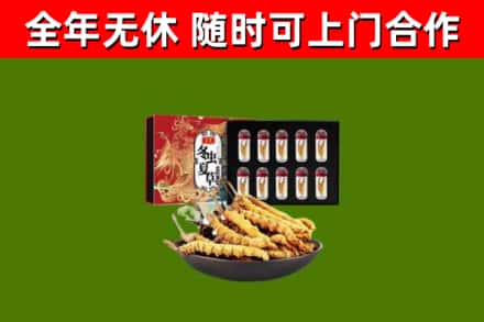 建平县回收冬虫夏草价格