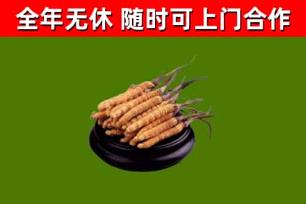 建平县烟酒回收冬虫夏草.jpg